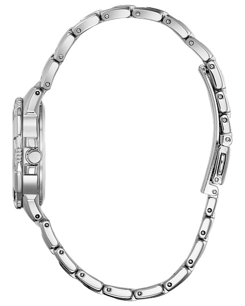 Riva Ladies Eco Drive EW2460 56A Silver Dial Diamond Watch CITIZEN