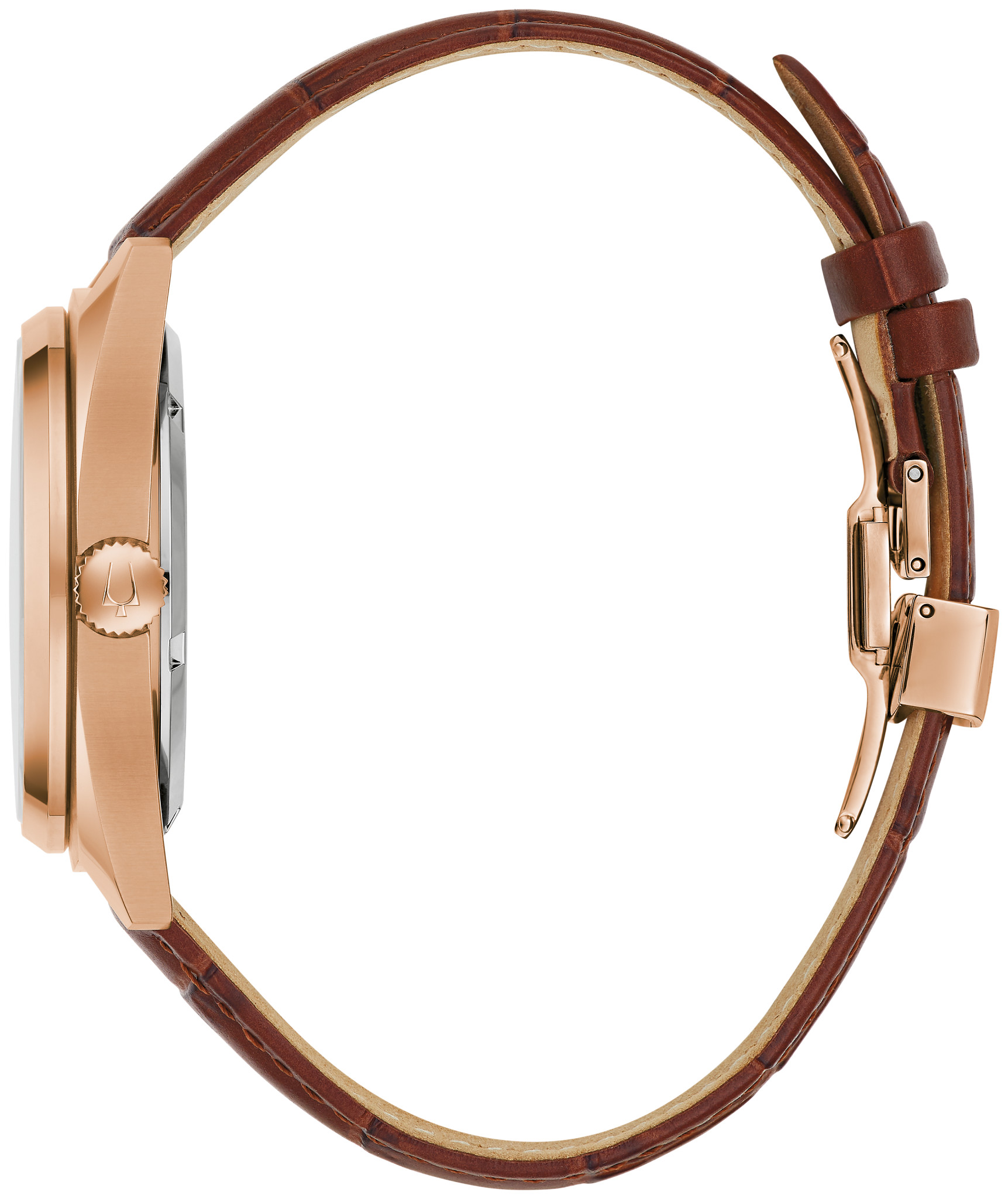 Surveyor image number 1