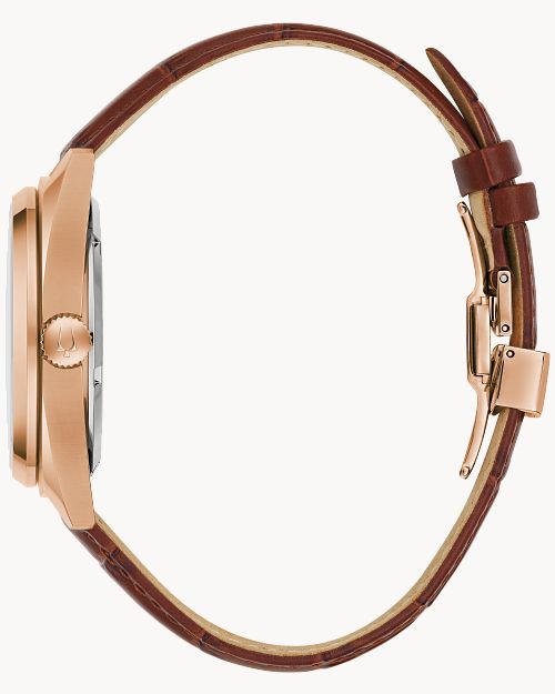 Surveyor image number 1