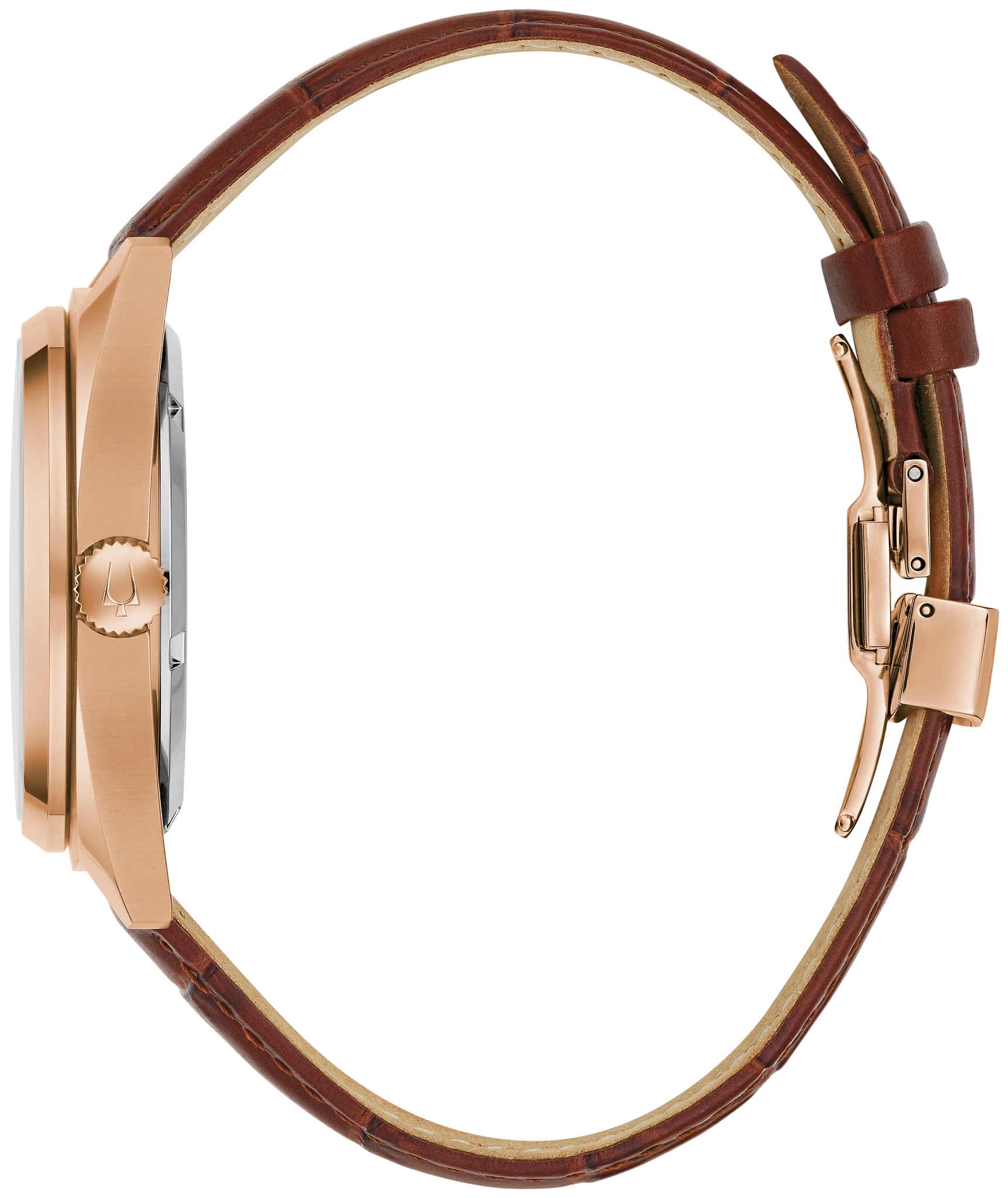 Surveyor image number 1