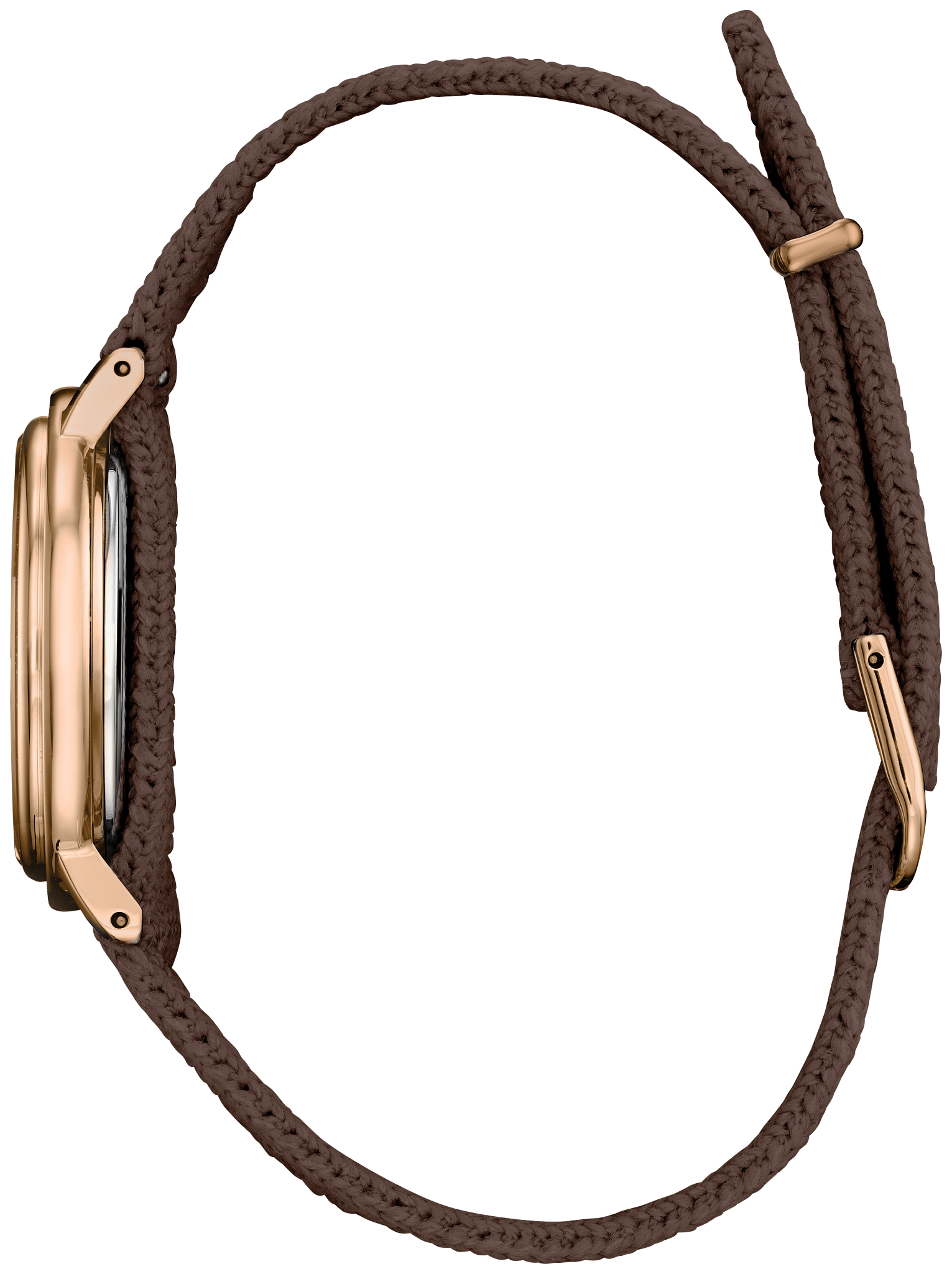 Ecosphere image number NaN