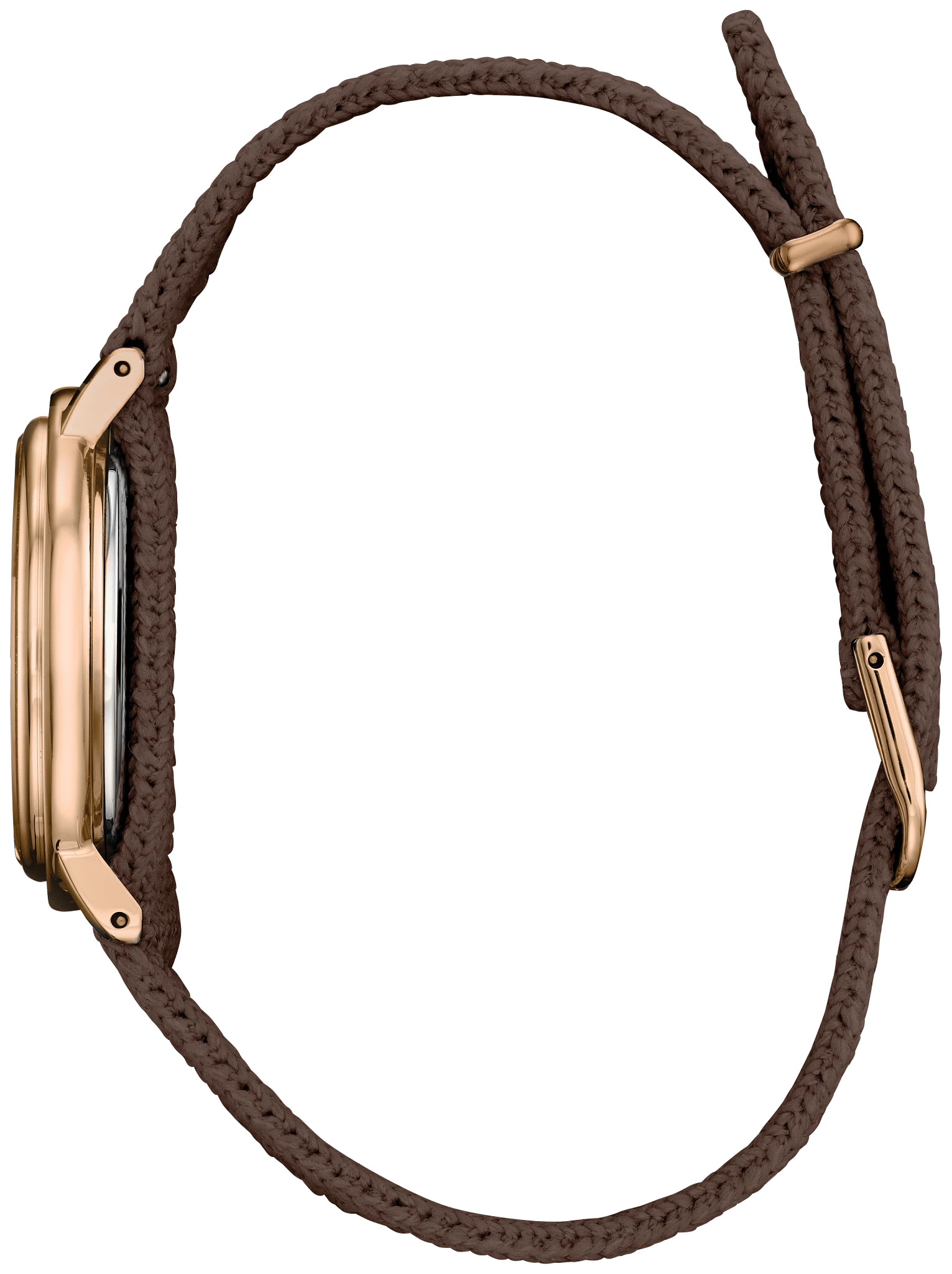 Ecosphere image number 1