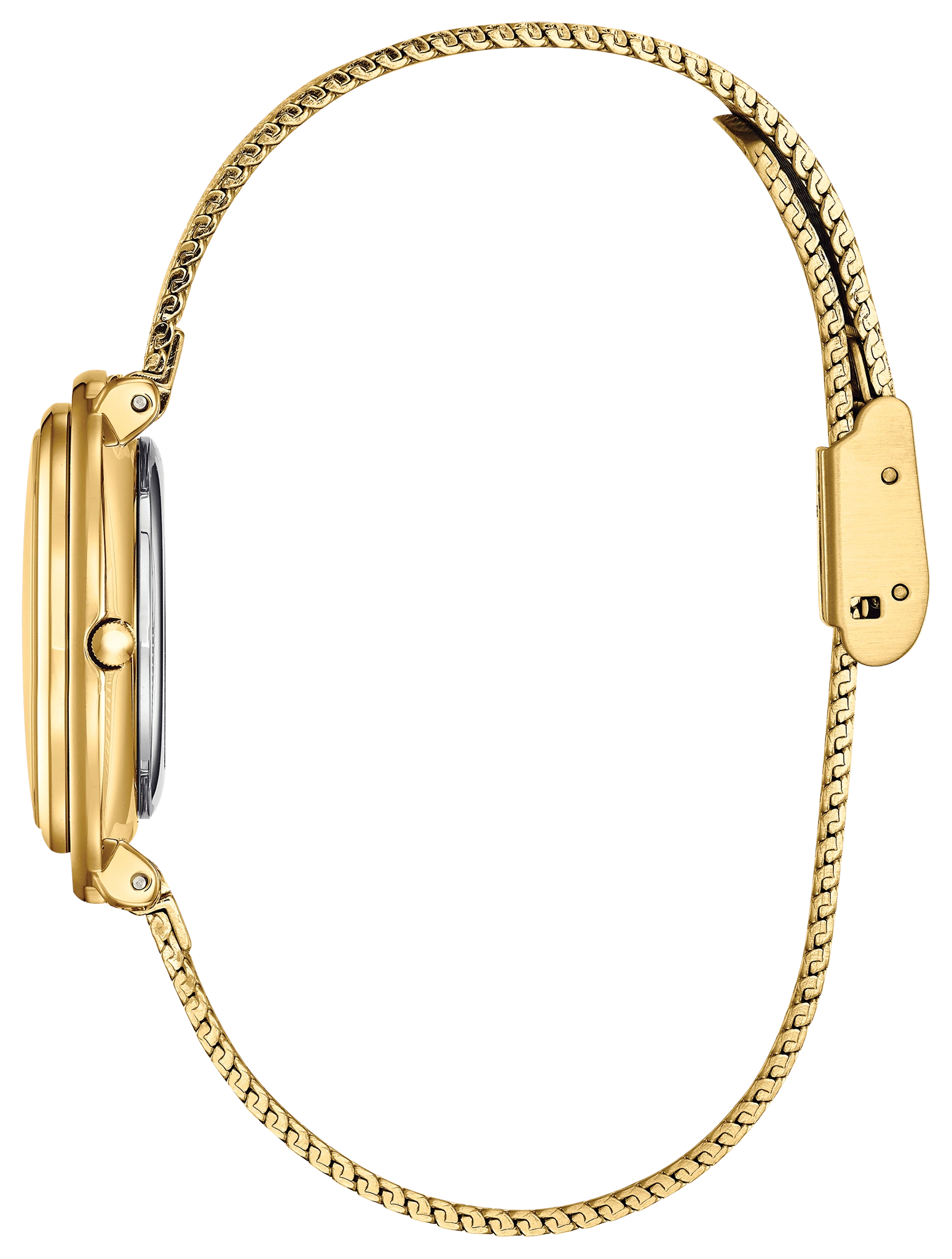 Citizen L Ambiluna - view 3
