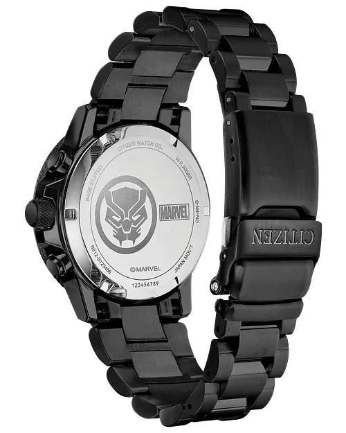 Panthère noire image number 2