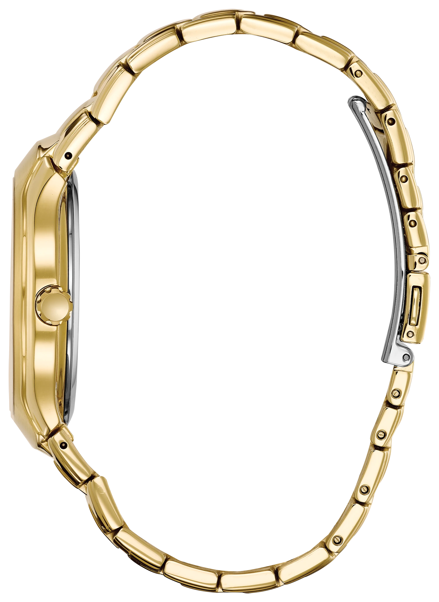 Paradigm image number 1