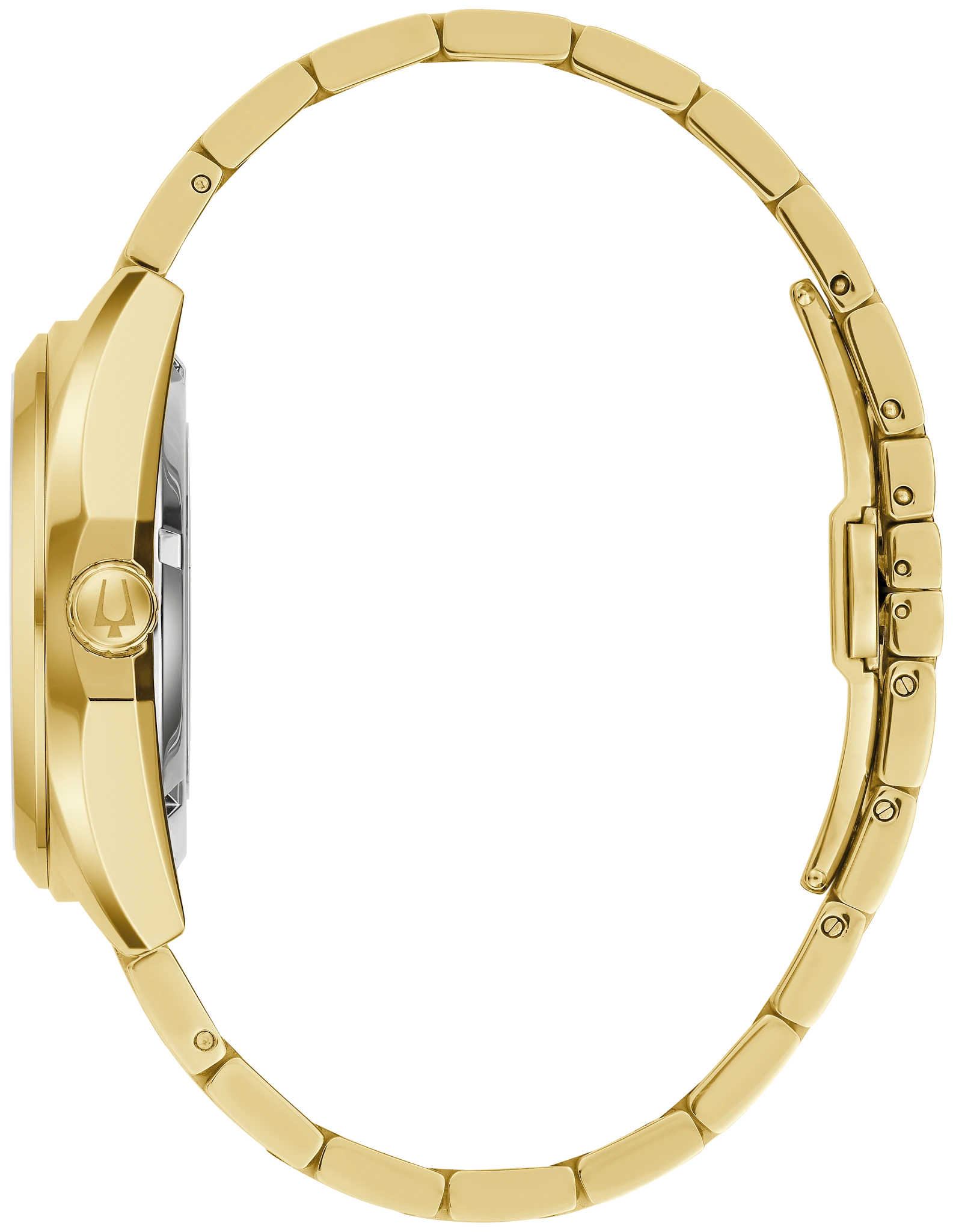 Surveyor image number 1