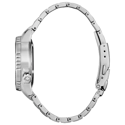 Promaster Dive