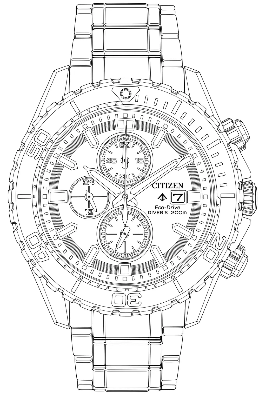 Watch technical diagram
