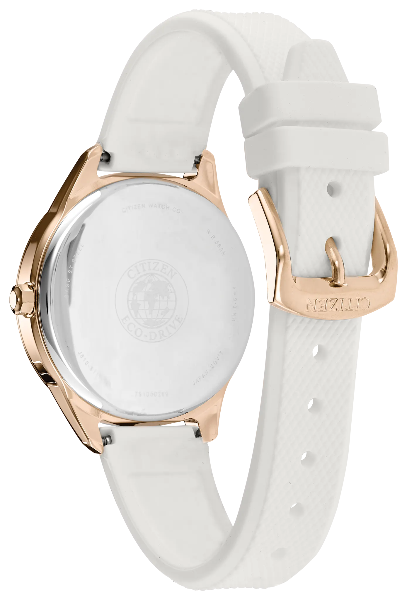 Chandler image number 2