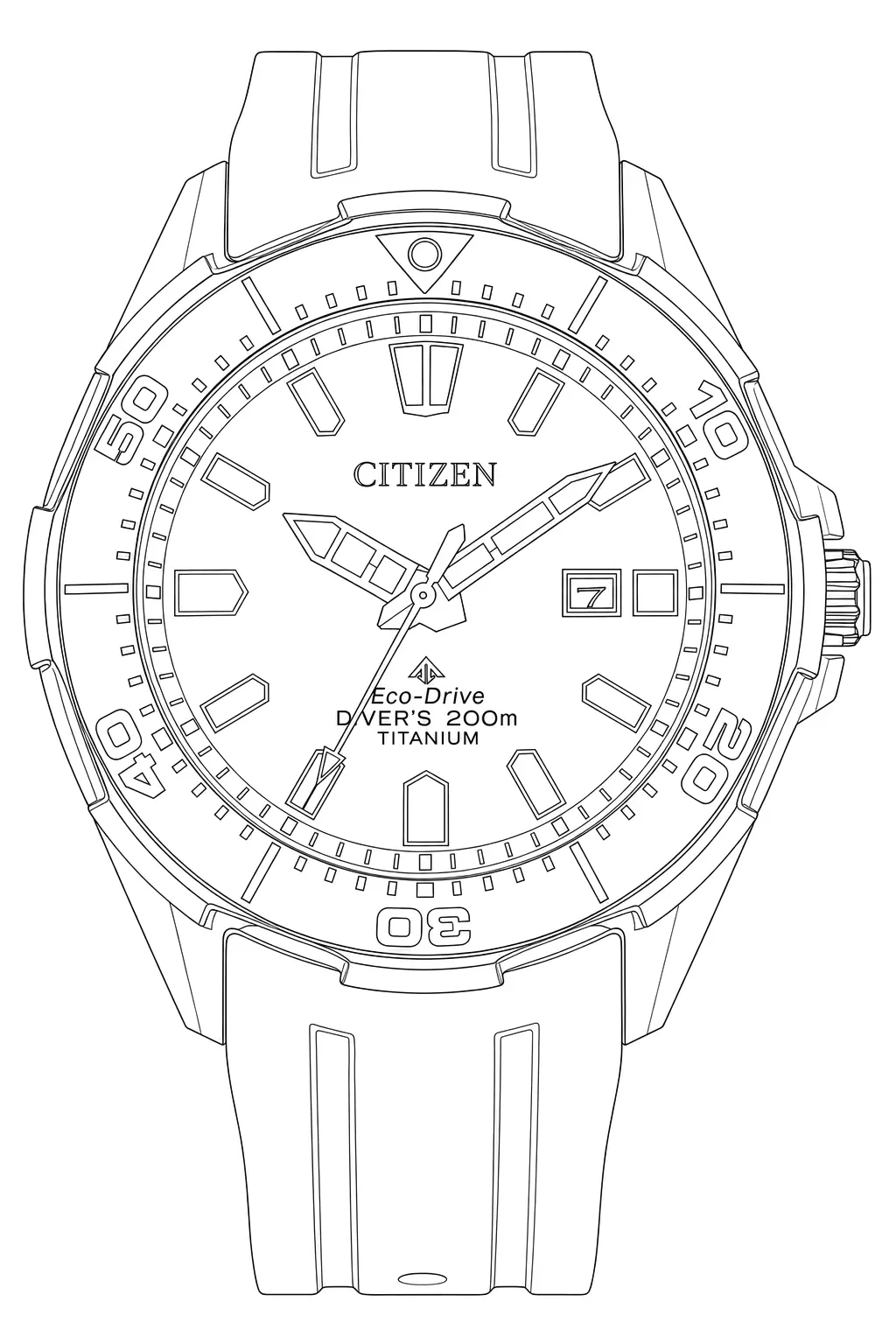 Watch technical diagram