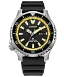 Promaster Dive Automatic