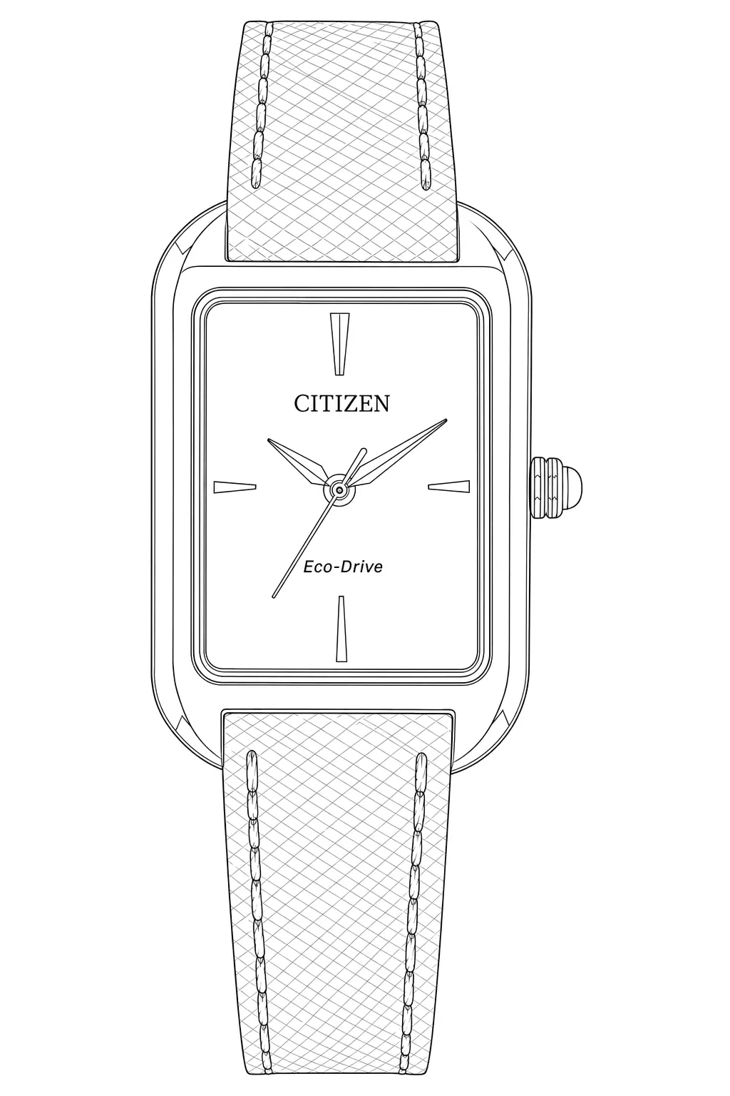Watch technical diagram