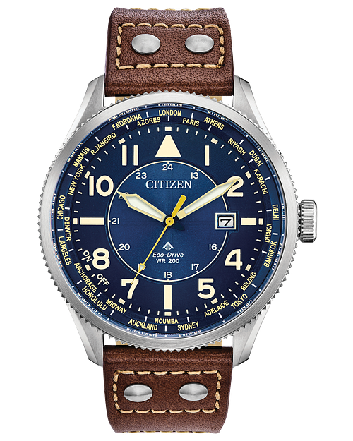 Promaster nighthawk blue 2025 dial men's watch