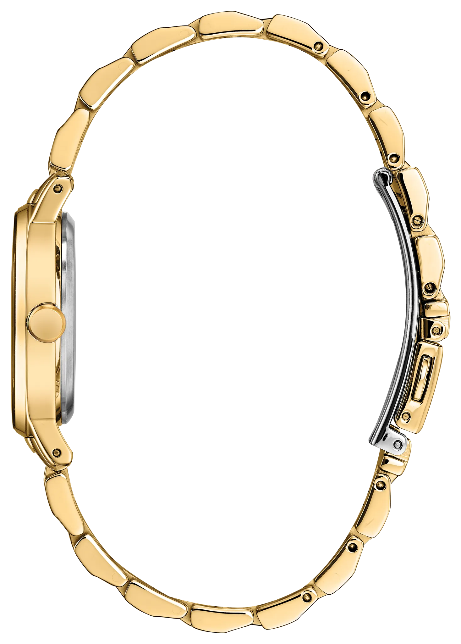 Axiom image number 1