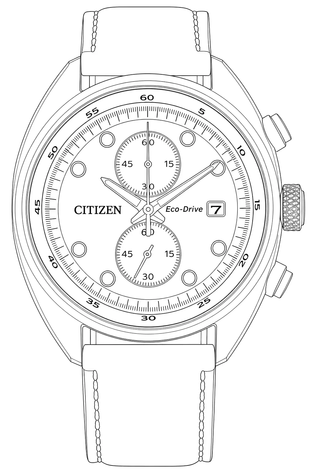 Watch technical diagram