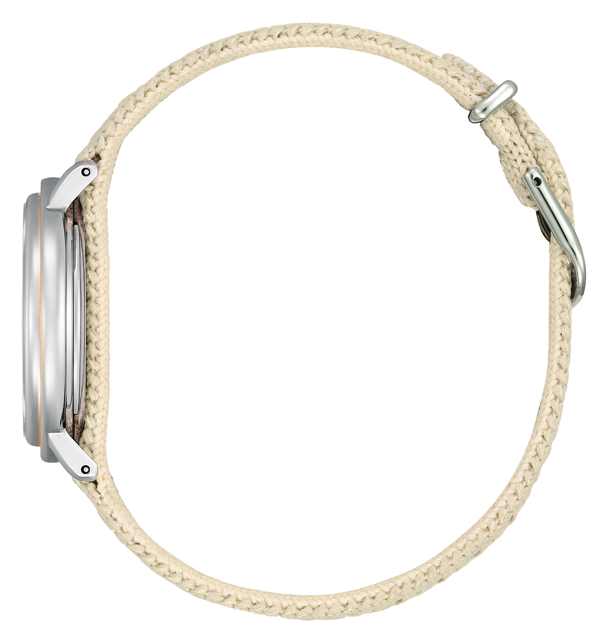 Ecosphere image number 1