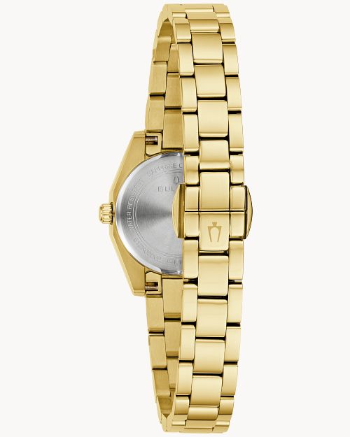 Surveyor image number 2