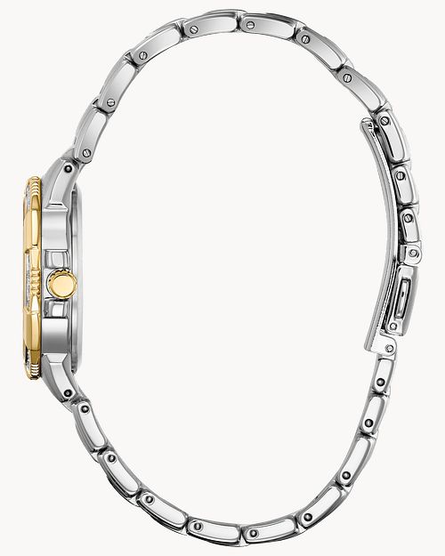 Riva Ladies Eco Drive Ew2464 55a Diamond Steel Watch Citizen