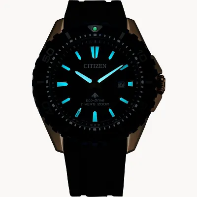 Promaster Dive Promaster Dive