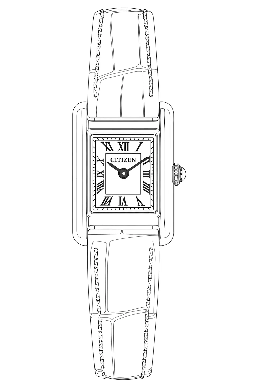 Watch technical diagram