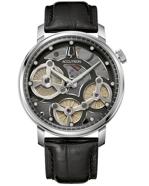 Spaceview Evolution image number 1