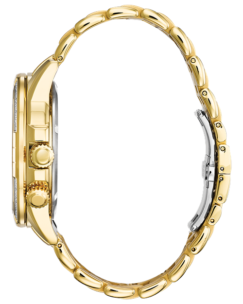 Belk 2025 citizen watches