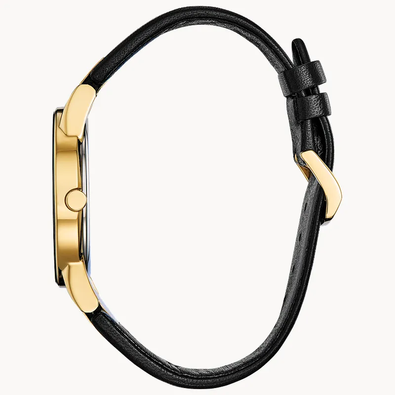 Citizen Axiom Men's Eco-Drive Gold Black Dial Watch | CITIZEN Citizen Axiom Men's Eco-Drive Gold Black Dial Watch | CITIZEN
