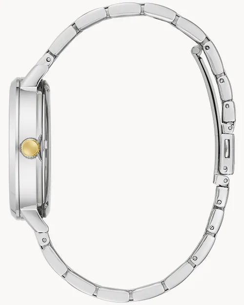 Classic image number 1