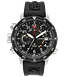 Promaster Altichron