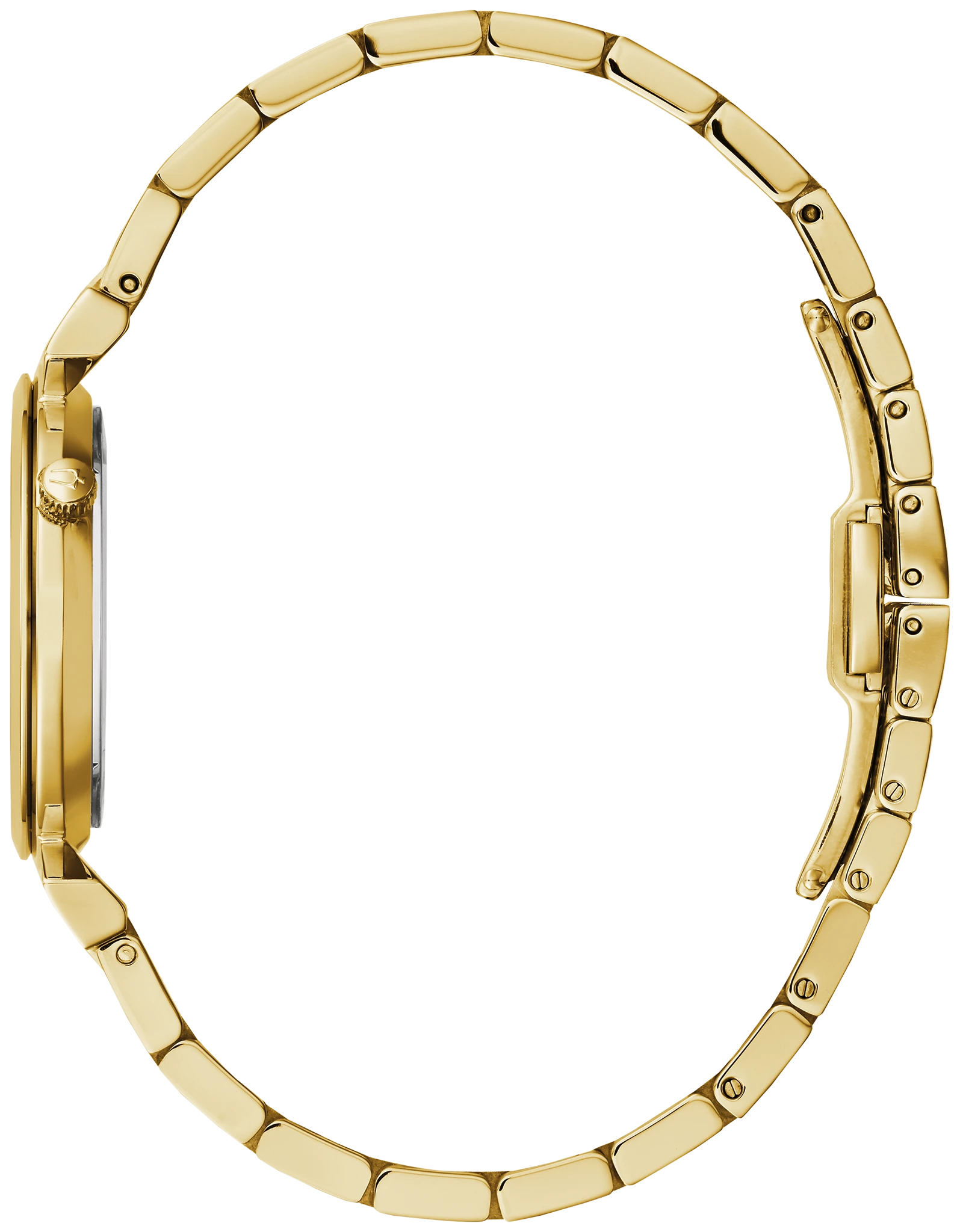 Regatta image number 1