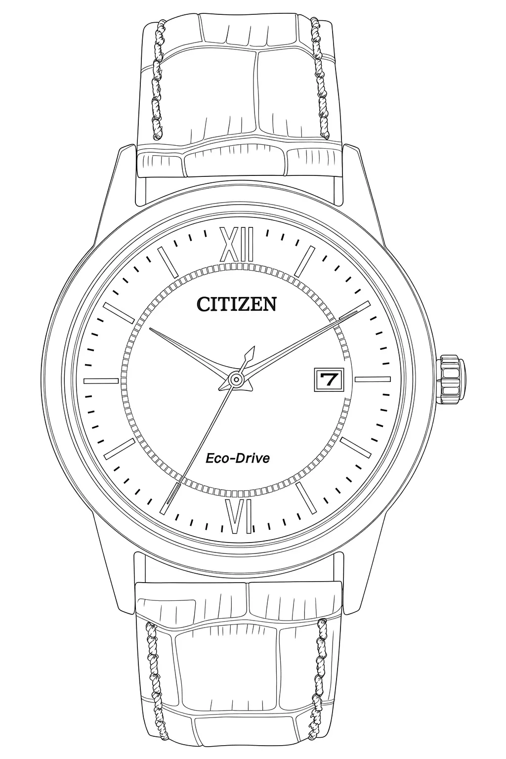 Watch technical diagram