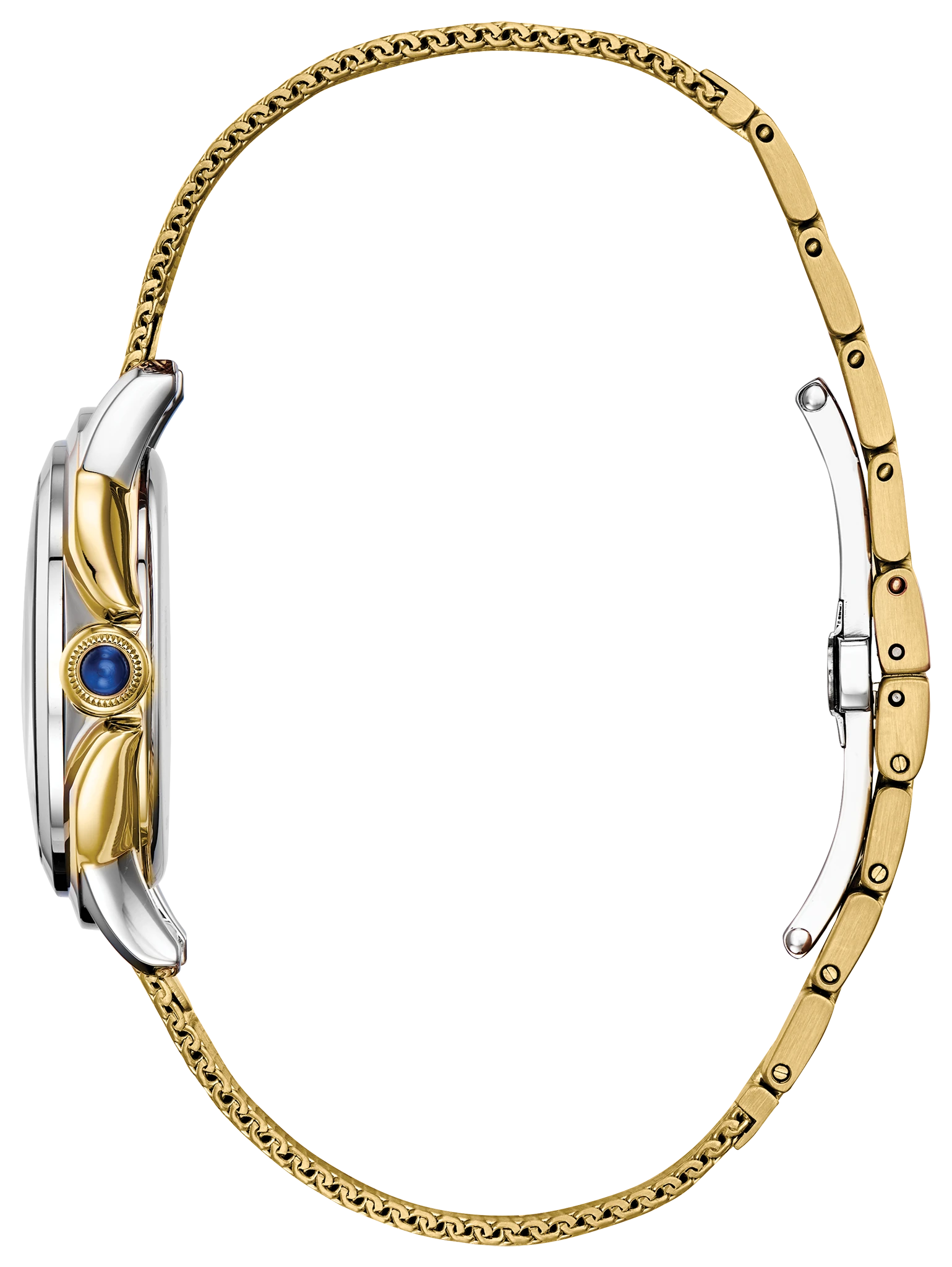 Citizen L Ceci image number 1