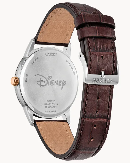 Steamboat Willie 1928 image number 2