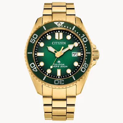 Promaster Dive Promaster Dive
