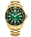 Promaster Dive