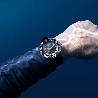 Promaster Dive Promaster Dive