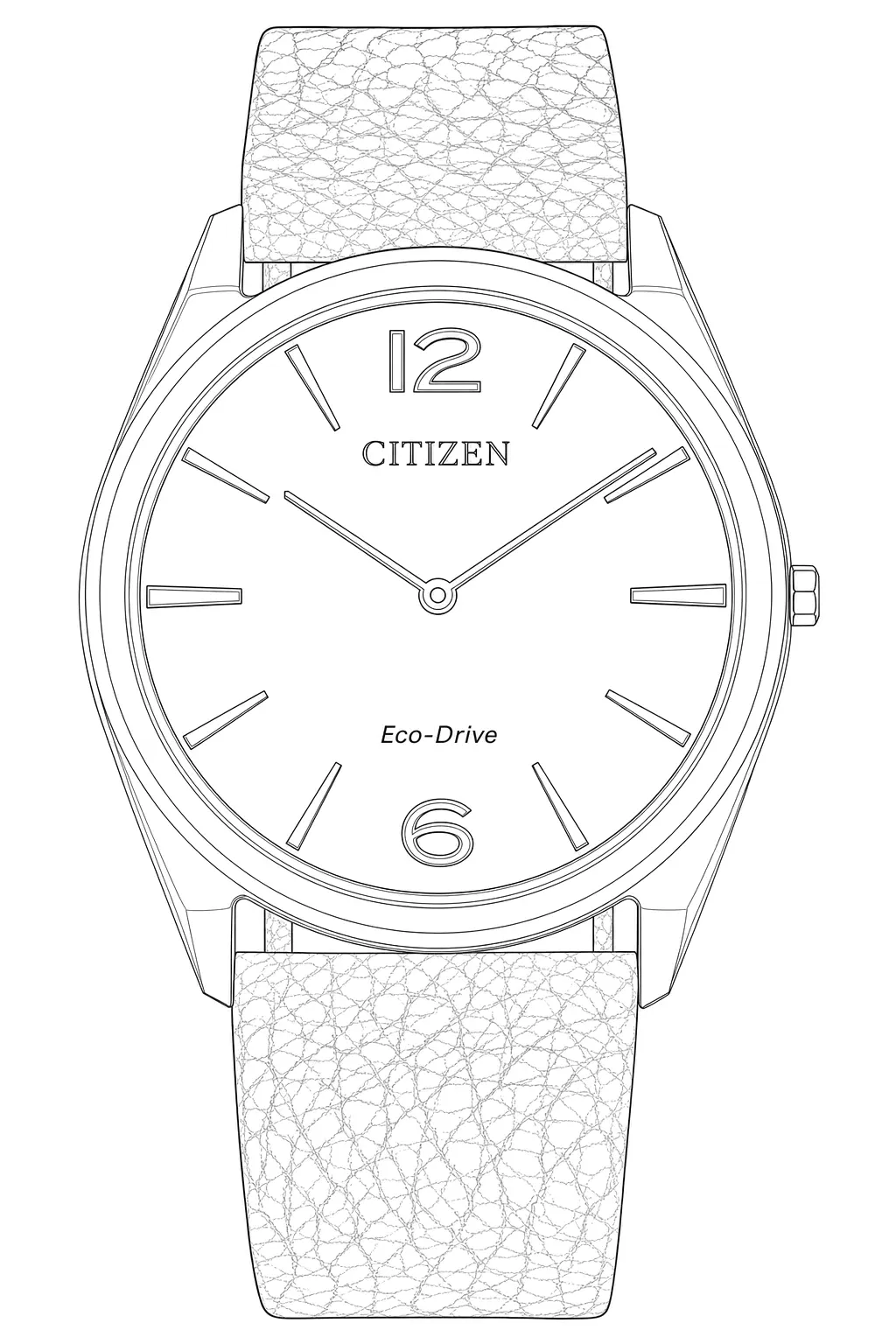 Watch technical diagram