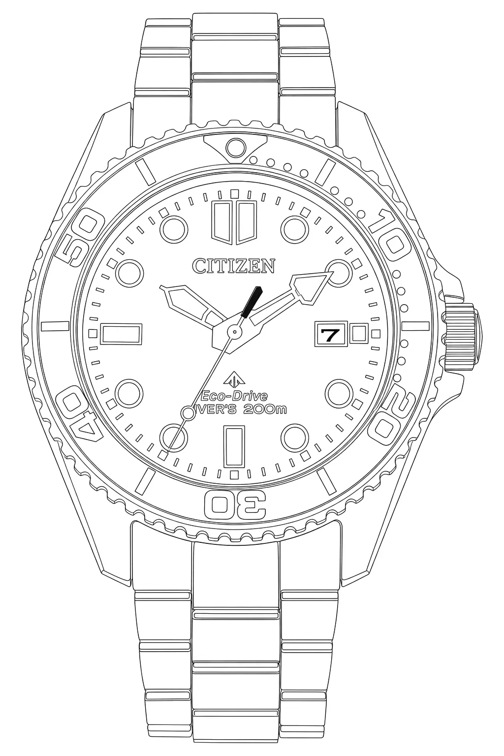 Watch technical diagram