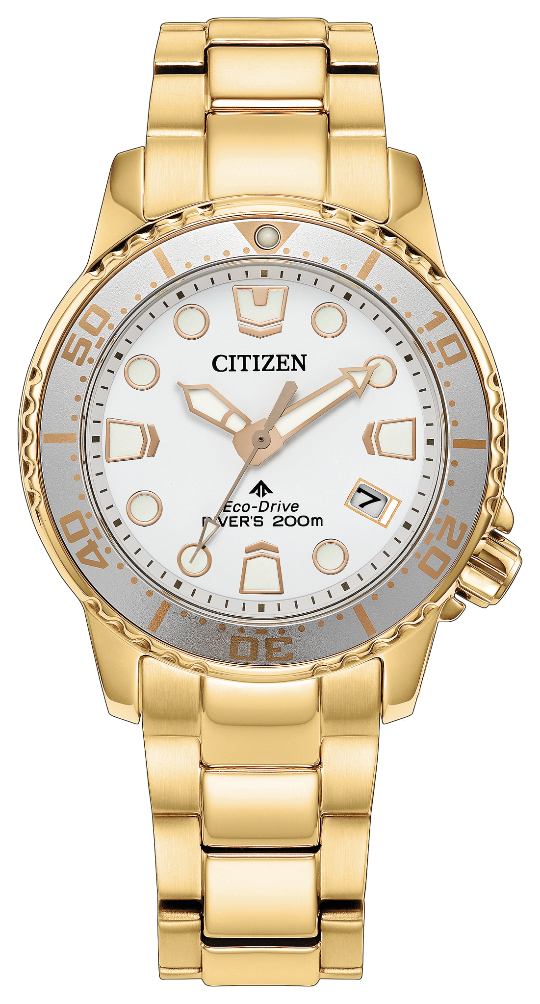 Citizen Promaster Dive EO2029-54A