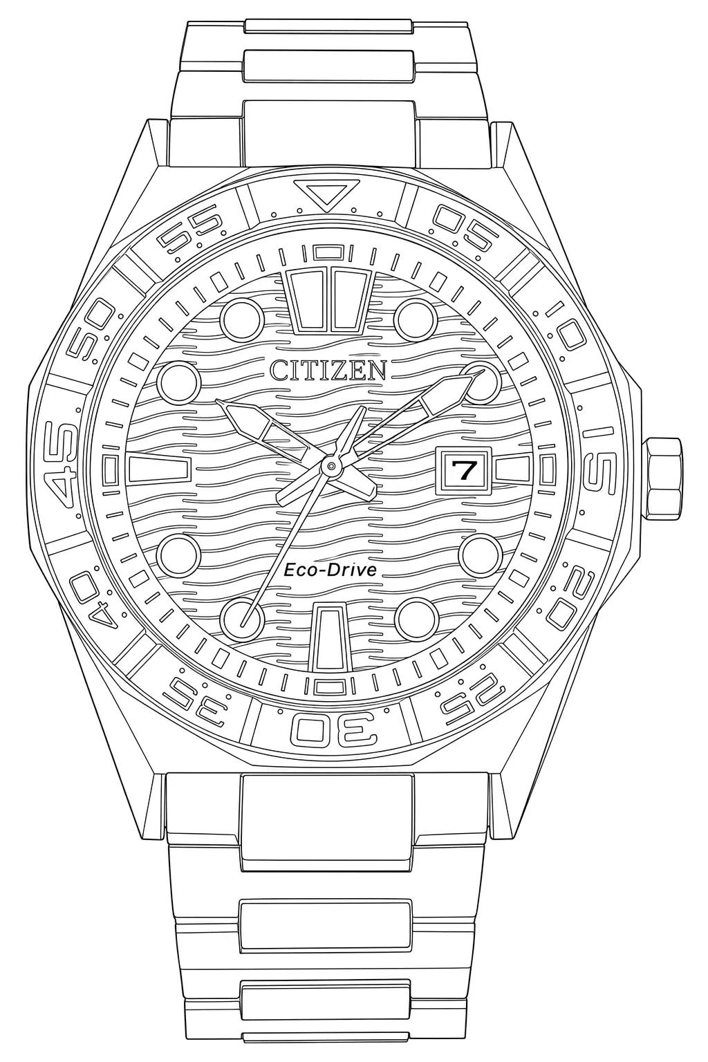 Watch technical diagram