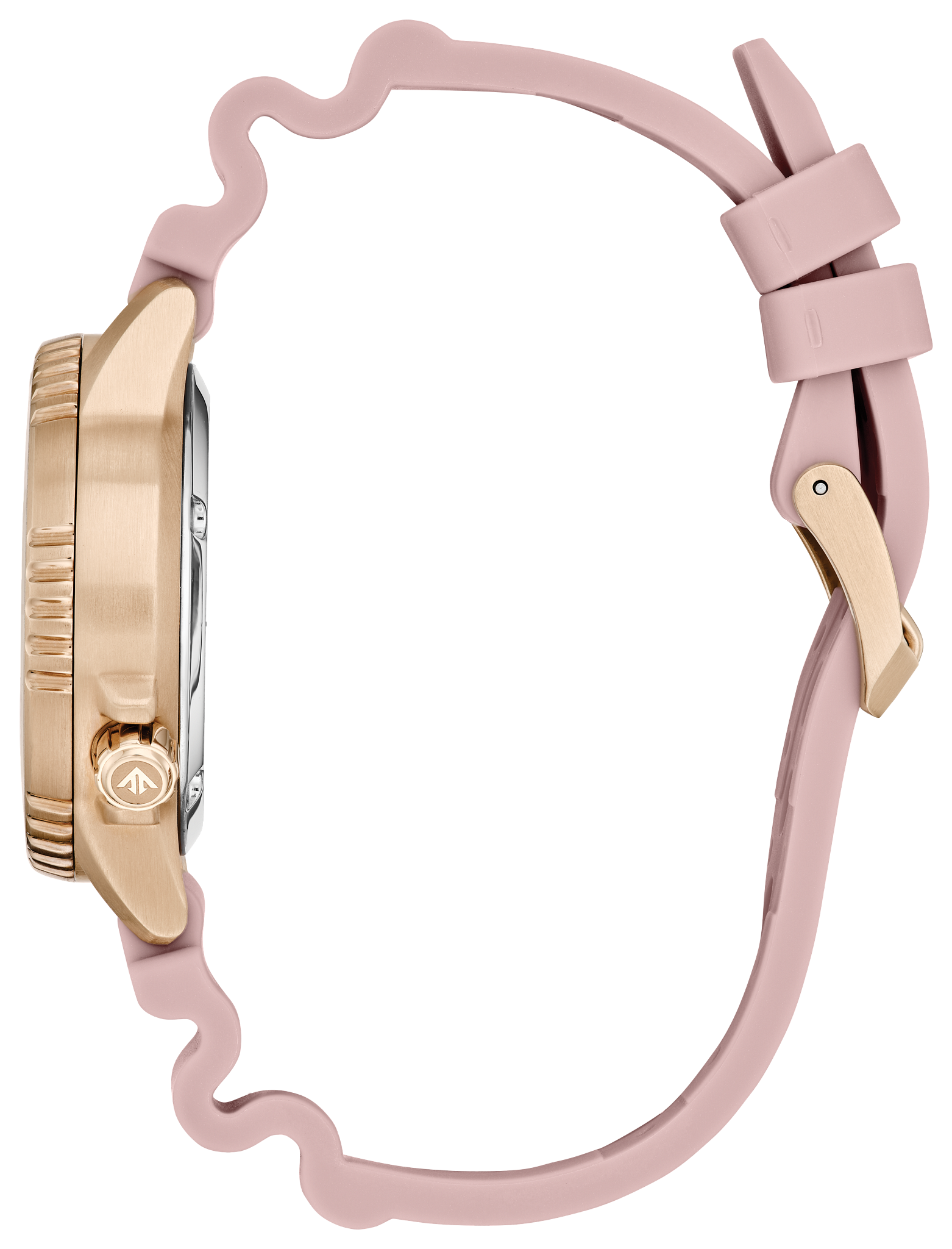 Promaster Dive image number NaN