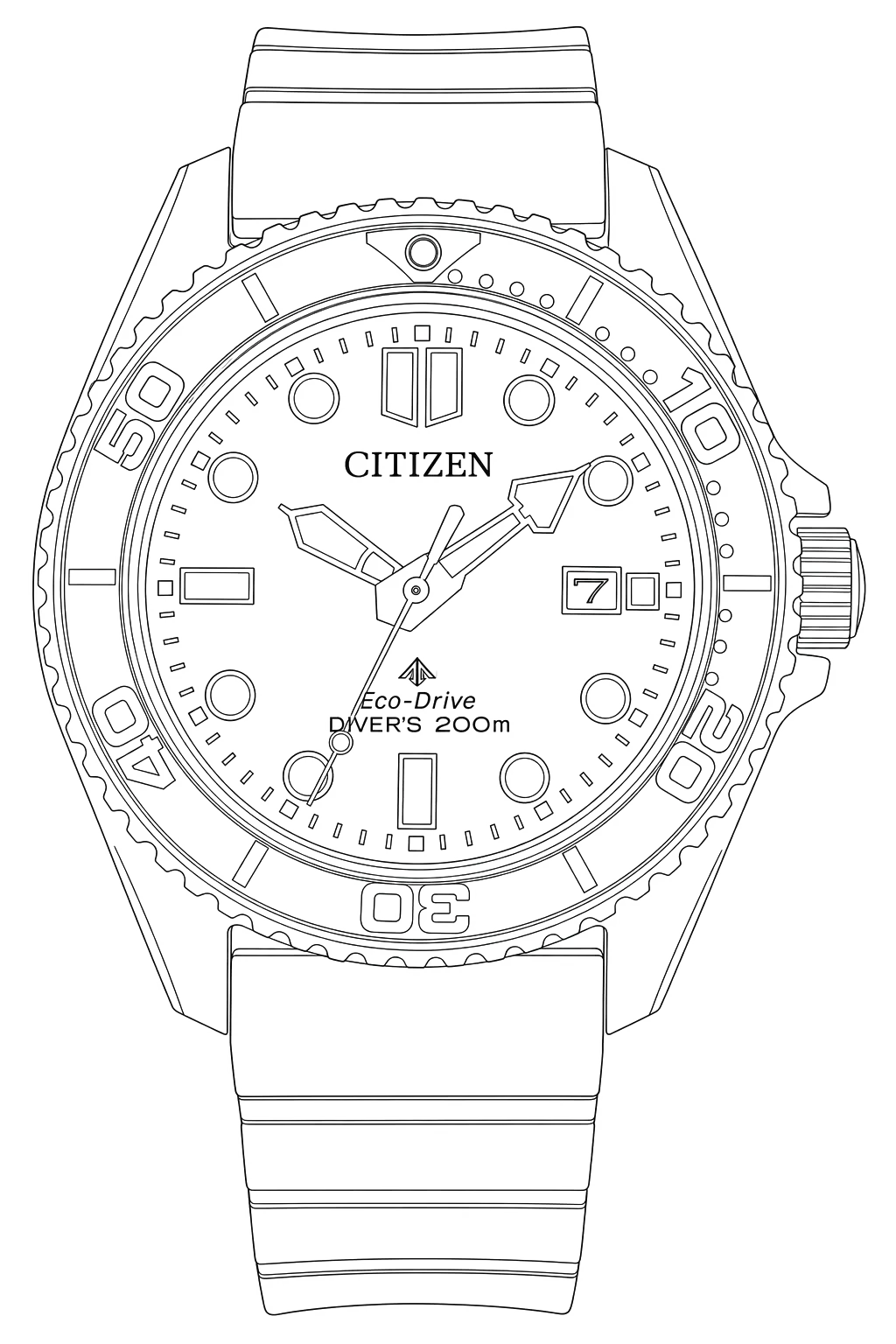 Watch technical diagram