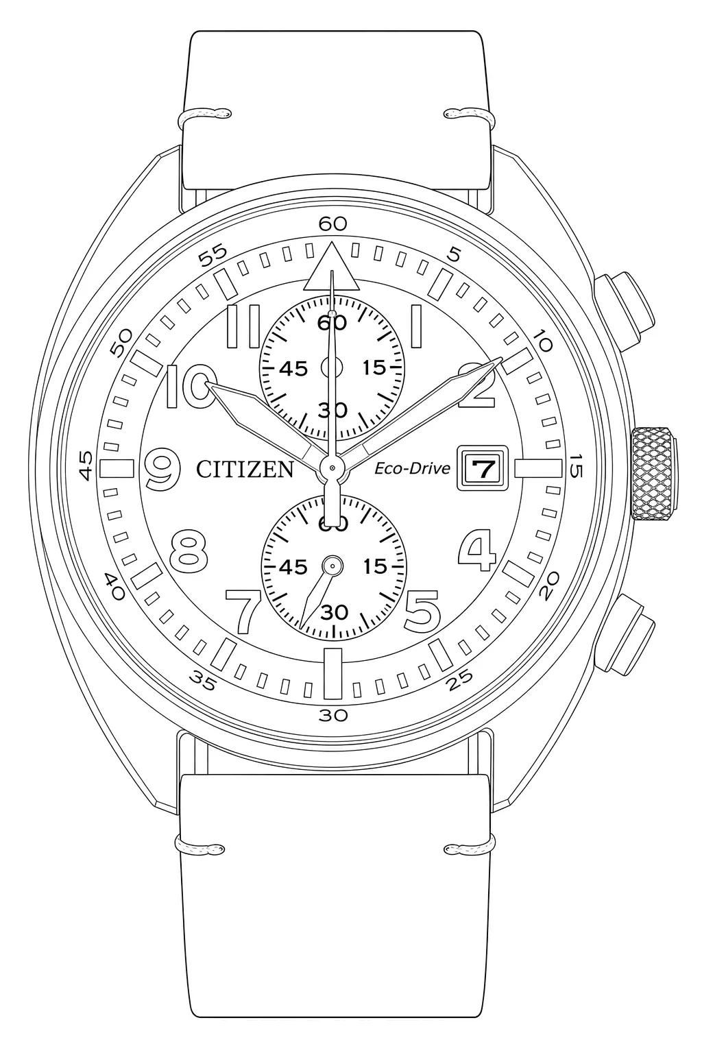 Watch technical diagram