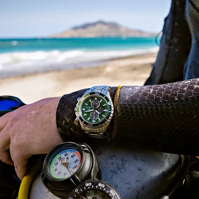 Promaster Dive Promaster Dive