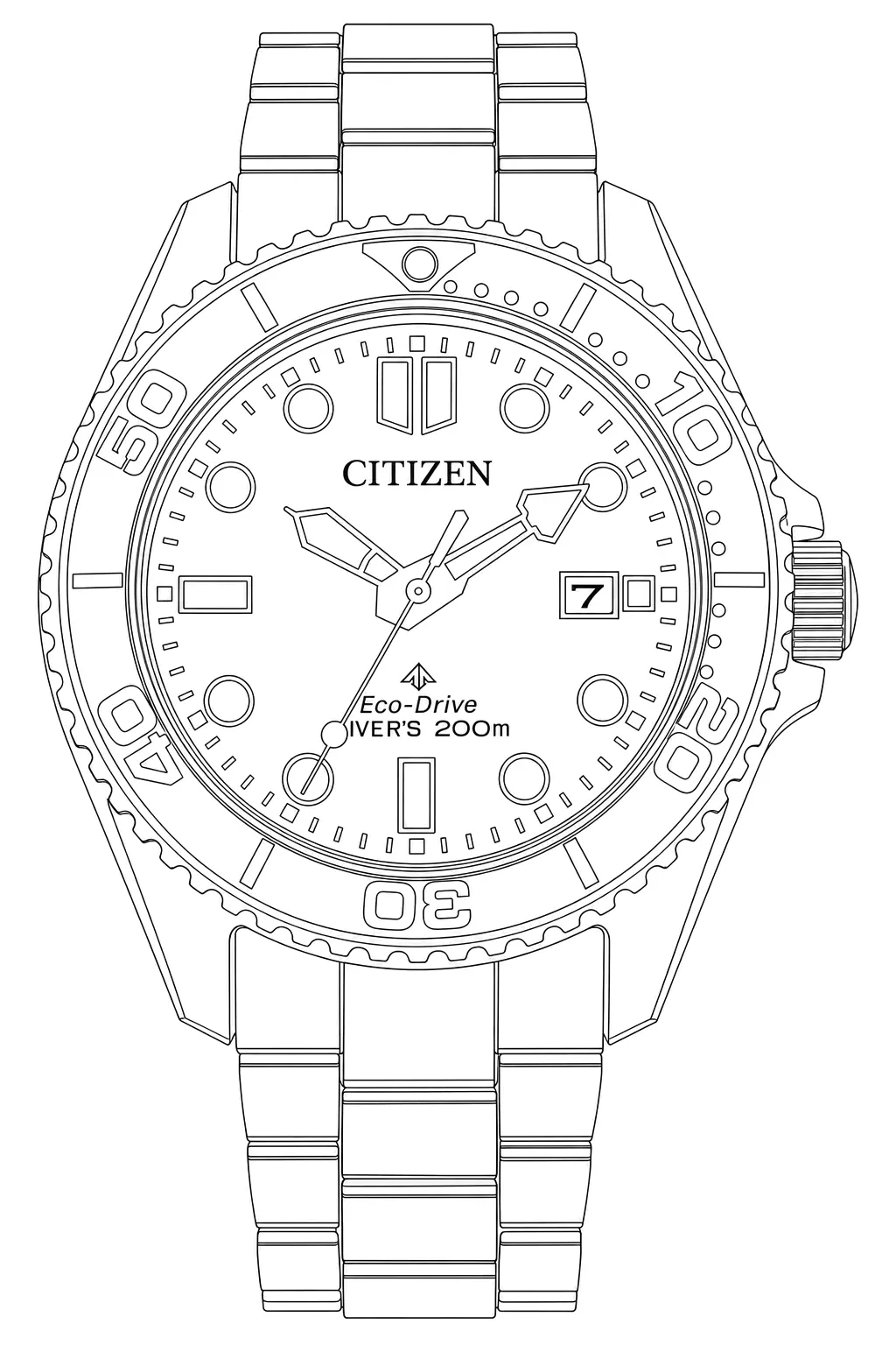 Watch technical diagram