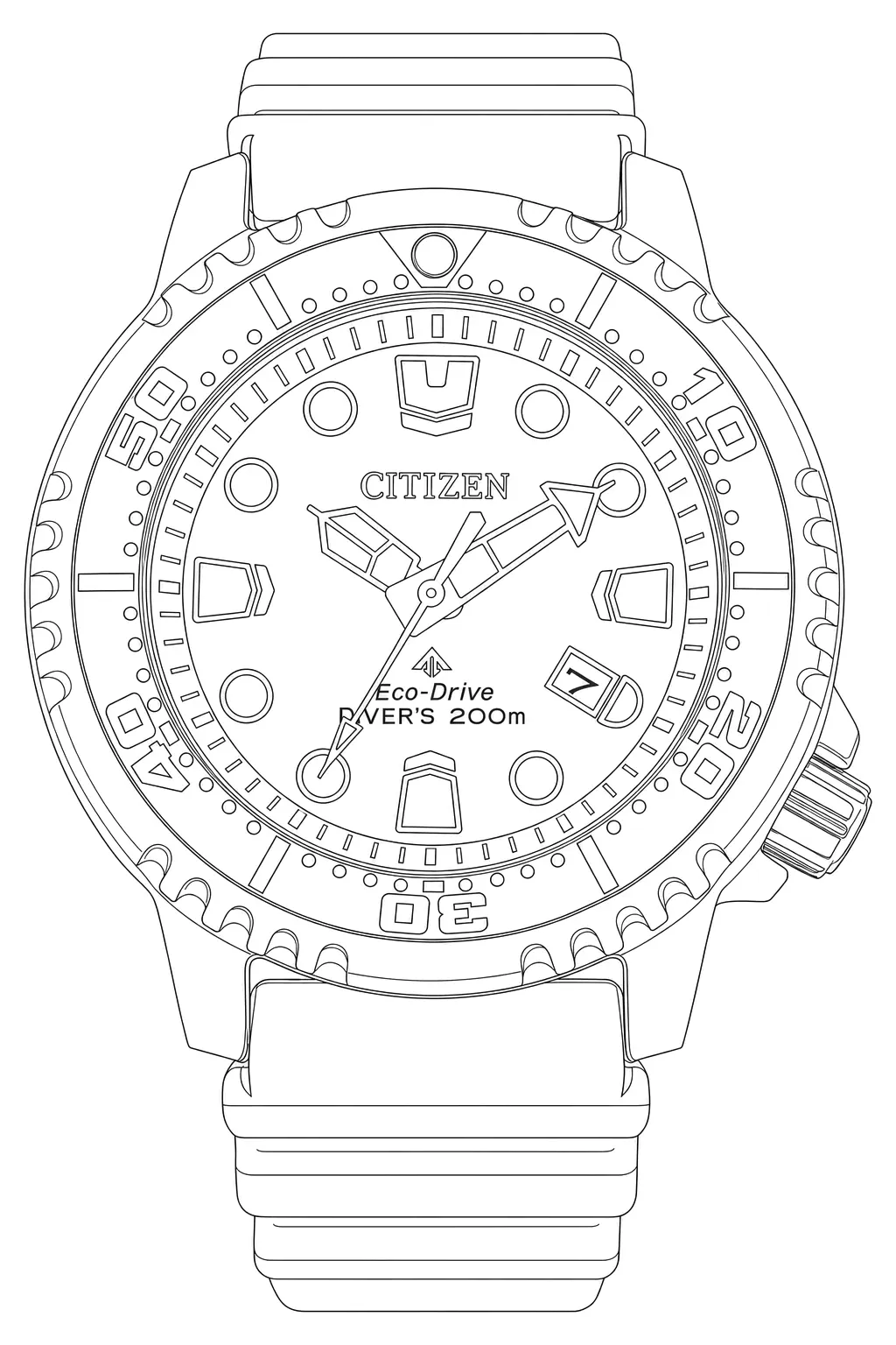 Watch technical diagram