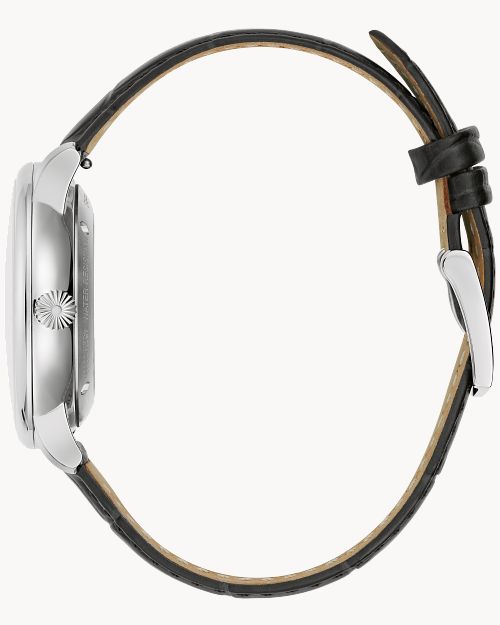 Hudson image number 1