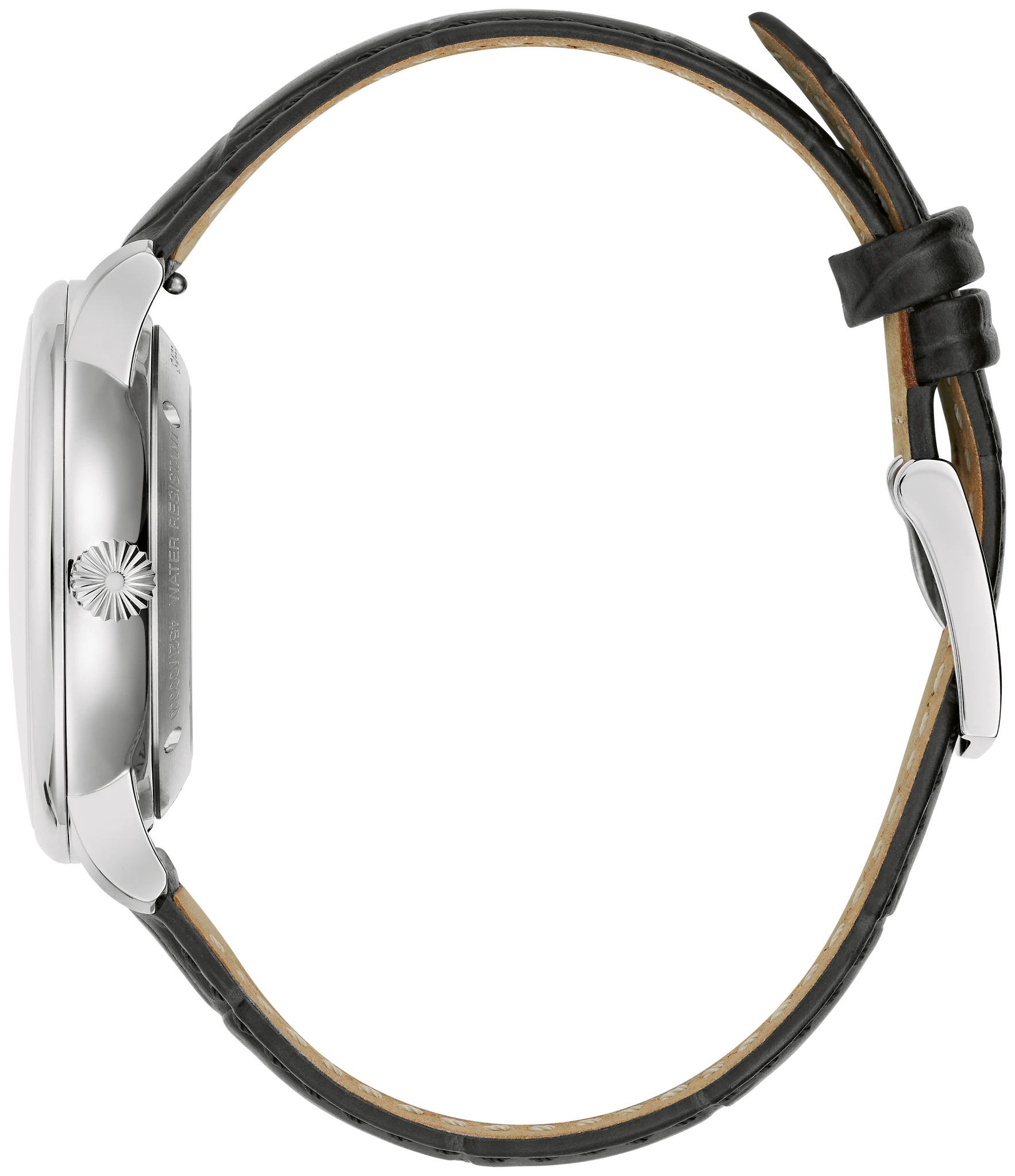 Hudson image number 1