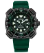 Promaster Dive