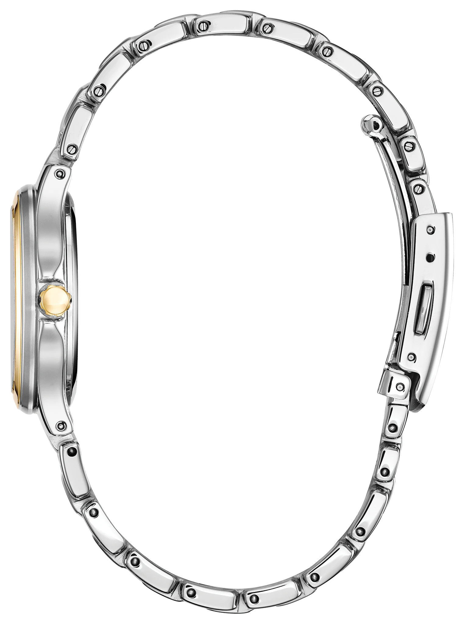 Chandler image number 1